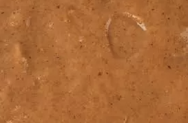 Schermafbeelding 2021-12-10 om 15.38.56.png