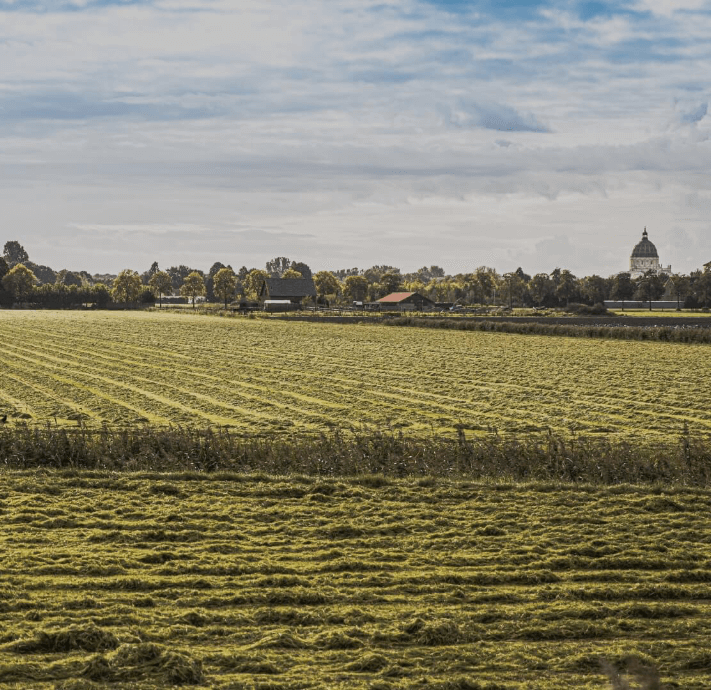 Home bewerkt agro.png