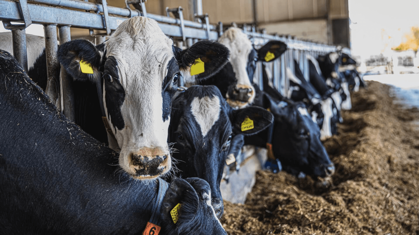 Header final bewerkt_.png